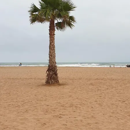 Les Sables Du Midi