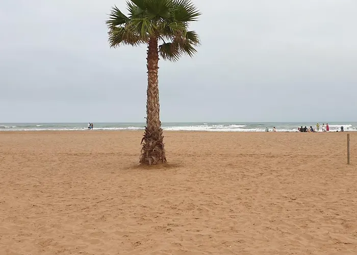 Les Sables Du Midi